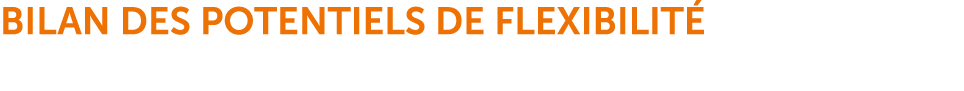 Bilan des potentiels de flexibilit 