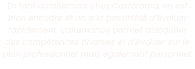 En tant qu alternant chez Castorama, on est bien encadr  et on a la possibilit  d  voluer rapidement  L alternance pe   