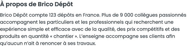   propos de Brico D p t Brico D p t compte 123 d p ts en France  Plus de 9 000 coll gues passionn s accompagnent les    