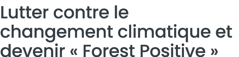 Lutter contre le changement climatique et devenir   Forest Positive   