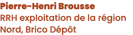 Pierre-Henri Brousse RRH exploitation de la r gion Nord, Brico D p t