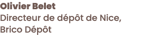 Olivier Belet Directeur de d p t de Nice, Brico D p t 