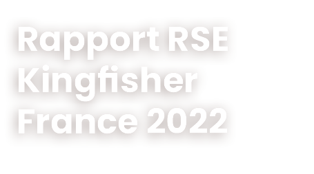Rapport RSE Kingfisher France 2022
