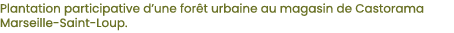 Plantation participative d une for t urbaine au magasin de Castorama Marseille-Saint-Loup 